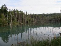 img (66)